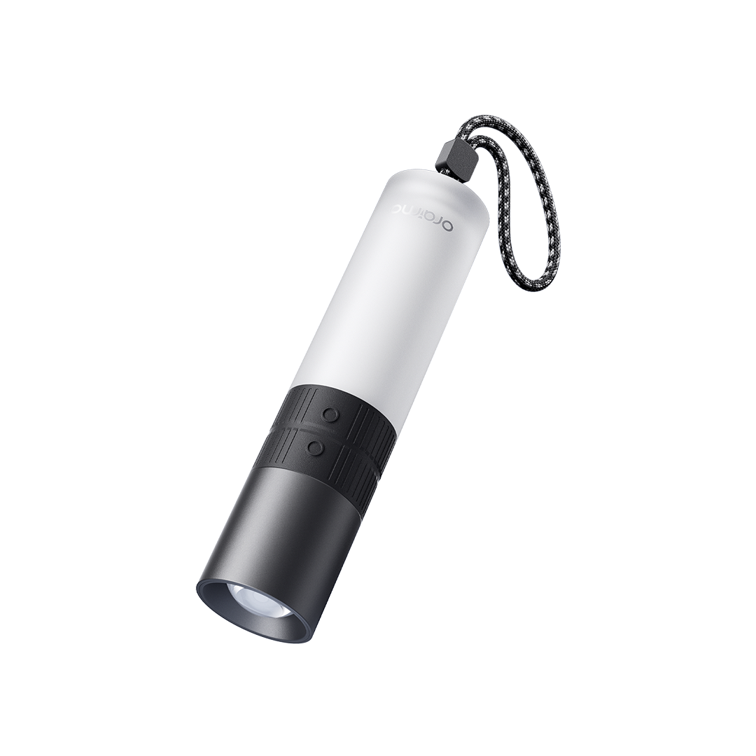 TorchGo