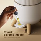 MistFlow Max 6L Humidificateur