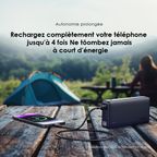 traveler 12 20000mAh 12W Power Bank