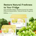 ChillClean Natural Pomelo Scent Anti-bacteria Refrigerator Deodorizer