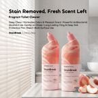 StainBreak Fragrant Toilet Cleaner 500g*2Pcs