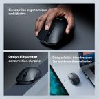 WorkGrip Souris sans fil