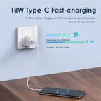 Cannon 2 Pro 18W Wall charger Kit