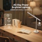 LumiDesk A-Class Eye Protection Desktop Lamp