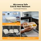 FreshBento Antibacterial PP Double Layer Bento Box