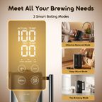 FastBrew Fast Smart 1.7L 316 Stainless Steel Electric Kettle