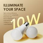 LightBulb 12pcs 10W LED Light Bulb