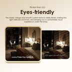 LightBulb 12pcs 10W LED Light Bulb