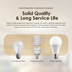 LightBulb 12pcs 10W LED Light Bulb