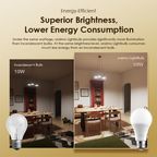 LightBulb 12pcs 10W LED Light Bulb