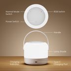 SmartLamp Go 4.5W RGB Night Light