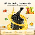 EasyJuice Mini Portable Slow Juicer