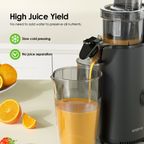 EasyJuice Mini Portable Slow Juicer