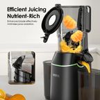 EasyJuice 108mm Diameter 800ML Slow Juicer