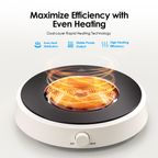 InstaCooker Induction Cooker