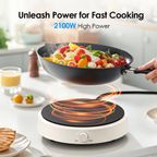 InstaCooker Induction Cooker