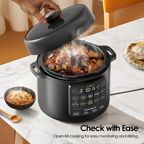 TenderPot 6L 1000W Electric Pressure Cooker