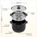 SmartCooker Cuisinière électrique 1000W 3L