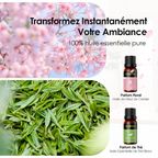 AromaGlow Diffuseur d'aromathérapie mural sans eau