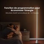 CornerGlow Ambient Floor Lamp