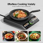 FlexiCooker 2200W Electric Ceramic Hot Plate