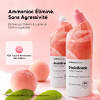 StainBreak Nettoyant Parfumé Pour Toilettes 500g2Pcs
