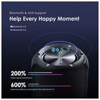 Rover 12W FM Wireless Speaker