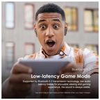 FreePods Pro ANC True Wireless Earbuds