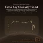 SpacePods x Burna Boy ANC True Wireless Earbuds