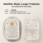 DailyBento Antibacterial 3-Compartment Bento Box