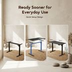 FlexiStation Ergonomic Smart Adjustable Electric Standing Desk