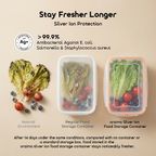 SealPure Silver Ion Protection PP Food Storage Container Set (3pcs)