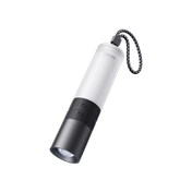 TorchGo
