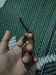 Watch Strap 12 Bracelets de montre en nylon