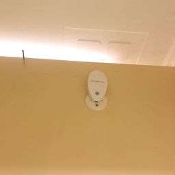 Motion Detection