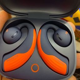 ear