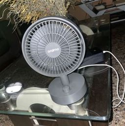 fan
