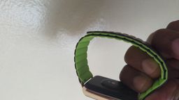 watch strap