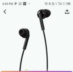 Conch review