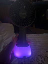 My wedding fan