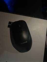 Review of mouse