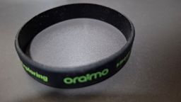 Wrist band