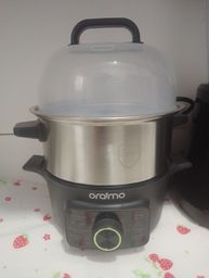 egg steamer