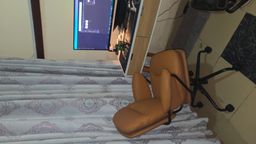 Premium Comfort and Worth the Investment