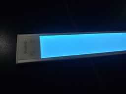 Light on dark days and in the office.