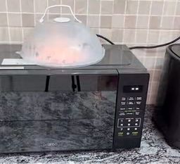 Efficient, Quiet, and Well-Built Microwave