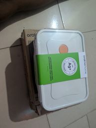 Antibacterial Compartment Bowel