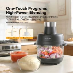 poweemince pro 600w