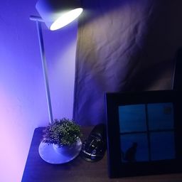Lovely Desk lamp