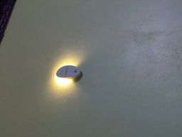 Luz noturna inteligente